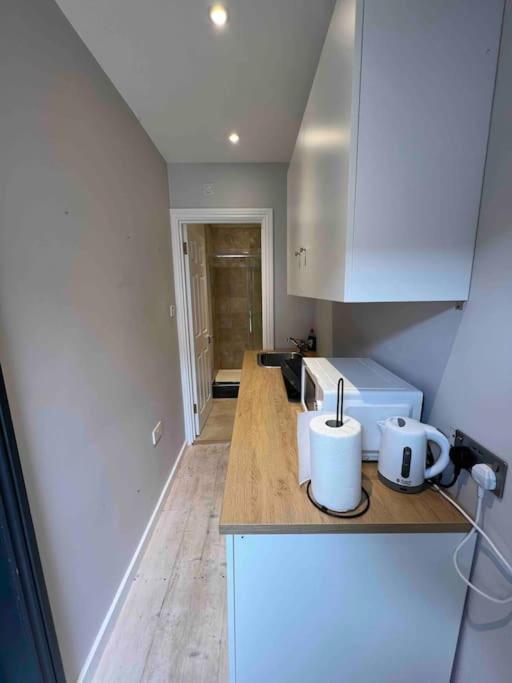 Newly Built Large Garden Ensuite Guest Studio Borehamwood Exteriér fotografie